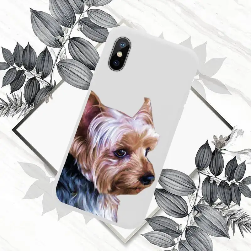 

Yorkshire terrier dog Newest Fashion Novelty Phone Case Candy Color for iPhone 11 12 mini pro XS MAX 8 7 6 6S Plus X SE 2020 XR