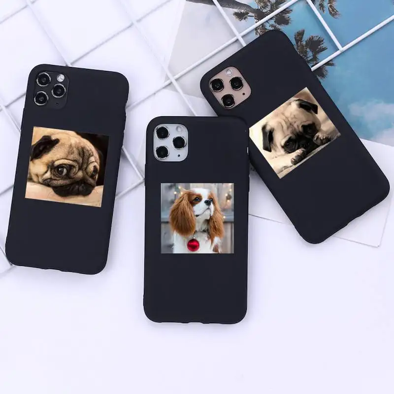 

Cartoon Pattern Candy Color dog Phone Case for iphone 13 12 11 Pro Mini XS MAX 8 7 Plus X 2020 XR cover