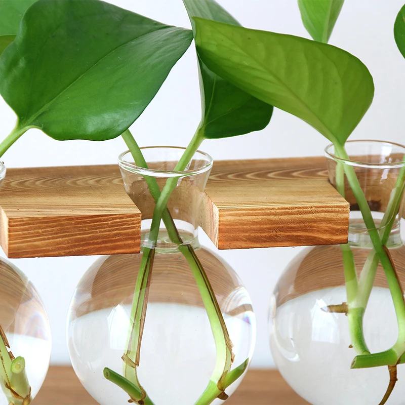 

Glass Bottle Vase Hydroponic Plant Transparent Vase Wooden Frame Decoration Vase terrarium Coffee Shop Room Decor Table Desk pot