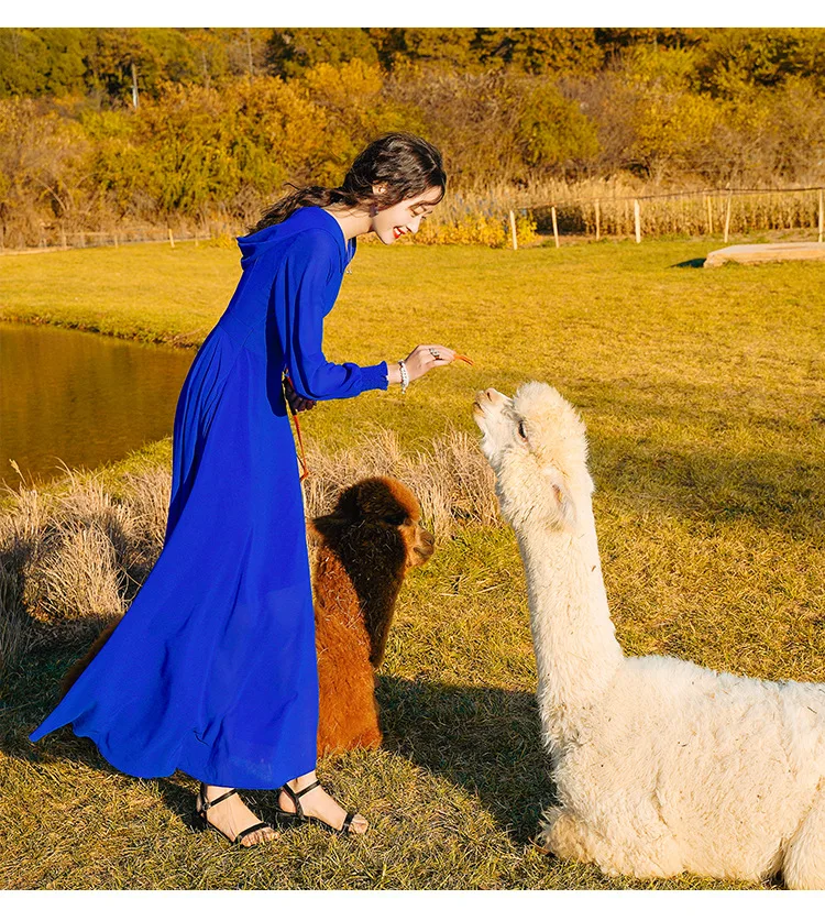 

Summer Super Fairy Seaside Beach Skirt Blue Chiffon Desert Travel Dress Women's Travel Hooded Long Sleeve Dress Long