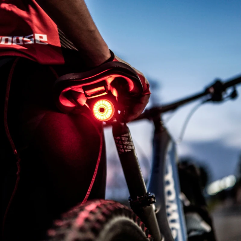 Leadbike Bicycle Rear Light Smart Auto Brake Sensing Tail Light LED Charging Waterproof IPX6 Cycling Taillight bike accessorie