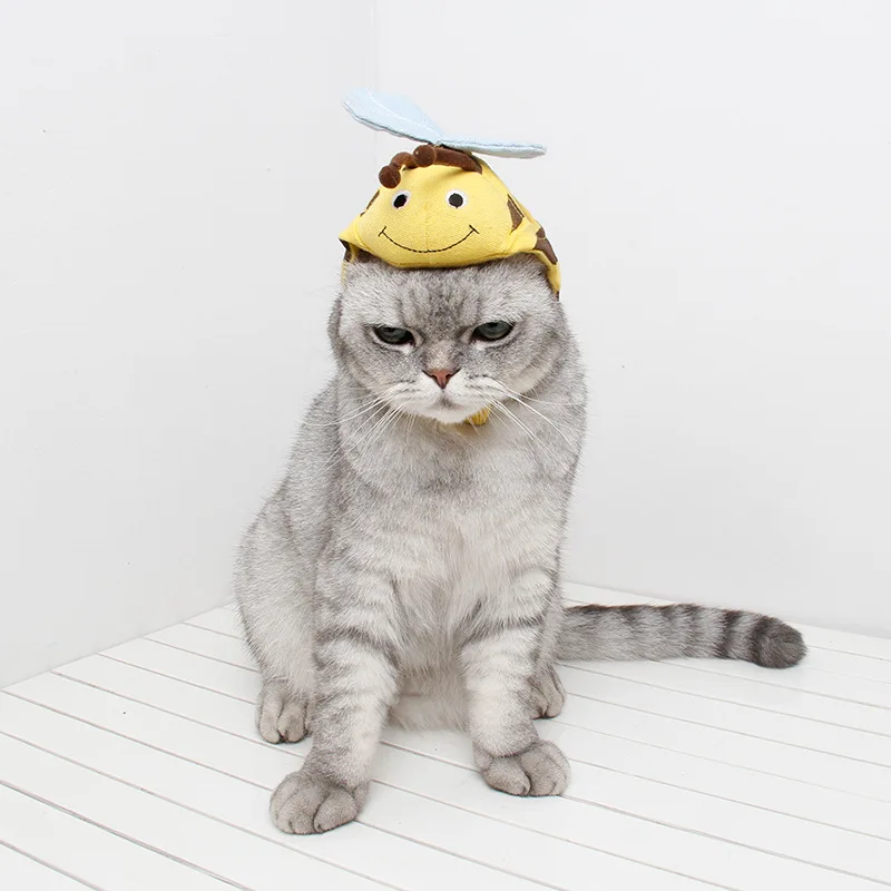 

Товары для домашних животных Jizizi, шапка для собаки, крутая шапка для кошек, милый головной убор, шляпа