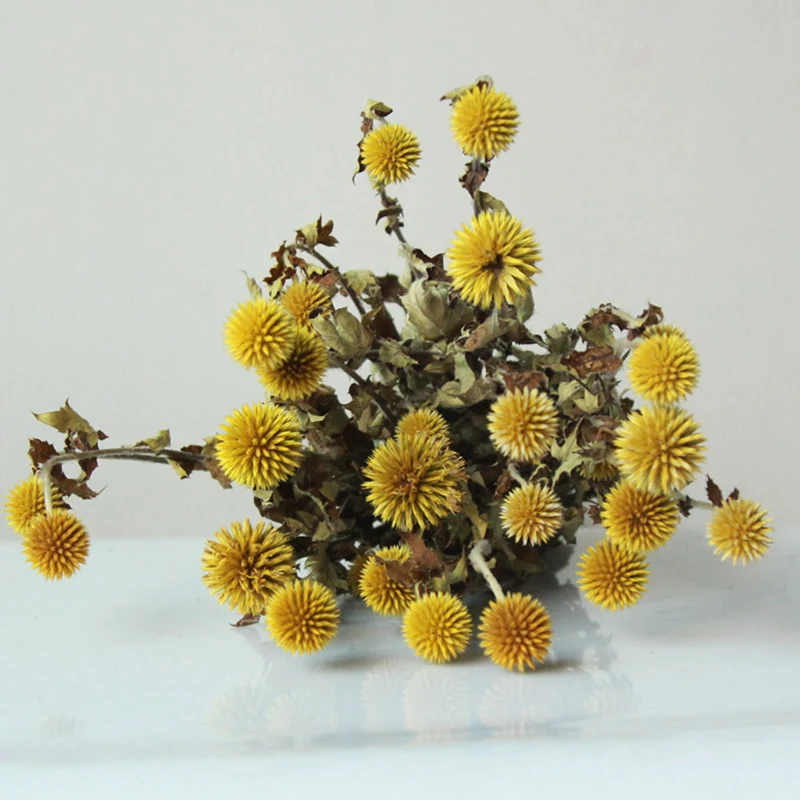 

5head Echinops Sphaerocephalus Bouquet Blue Star Planet Flower Fleur Artificielle Wedding Home Decor