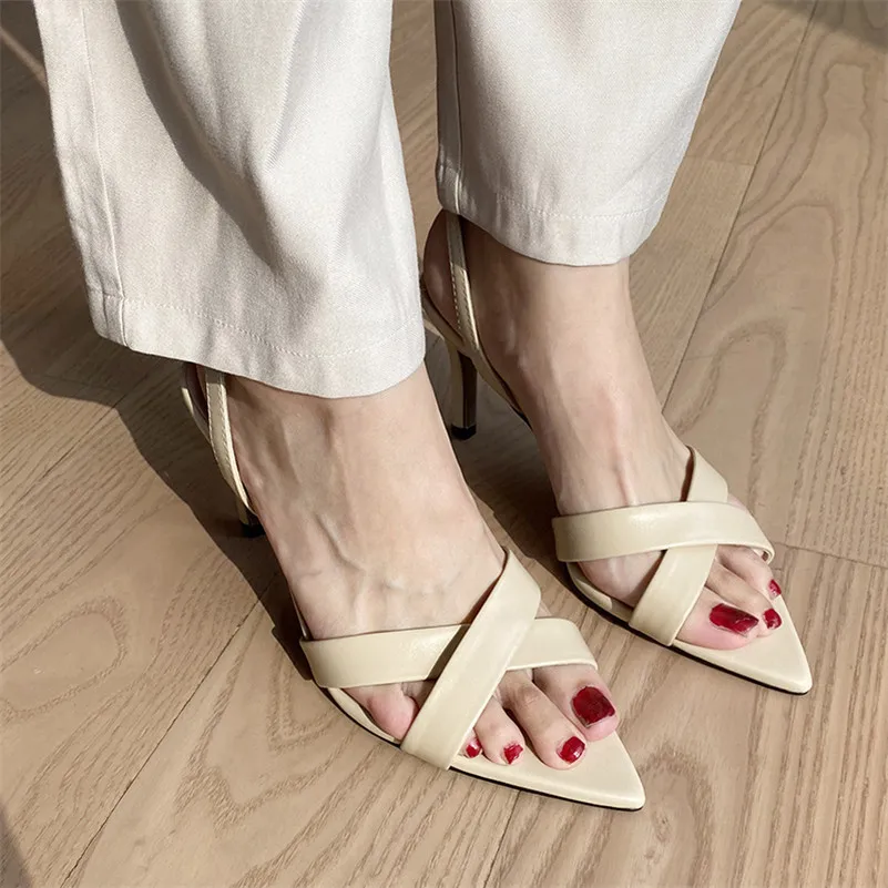 

Meotina , , , , , 40