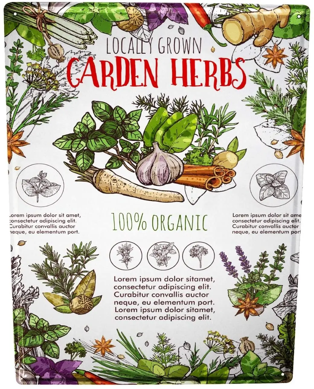 

SINCE 2004 tin Plate Kitchen Garden Herbs
