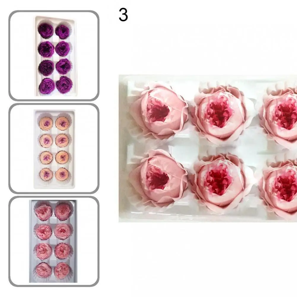 

Safe 8Pcs/Box Eye-Catching Cake Decorating Preserved Flowers Elegant Immortal Flowers Non-Fading Table Centerpieces