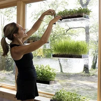 garden veg bonsai suction cup acrylic ledge window shelf bathroom display rack