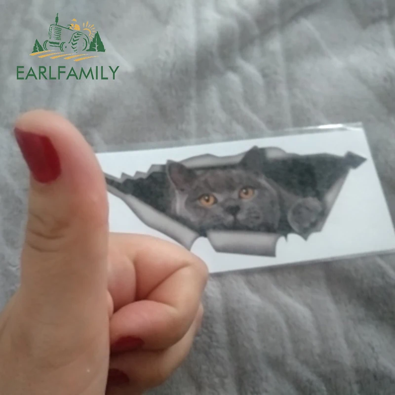 EARLFAMILY 15 см x 6 см Британский короткошерстный Забавный автомобильный стикер кот серый Кот Наклейка Водонепроницаемый 3D автомобильный Стайлинг стикер s украшение