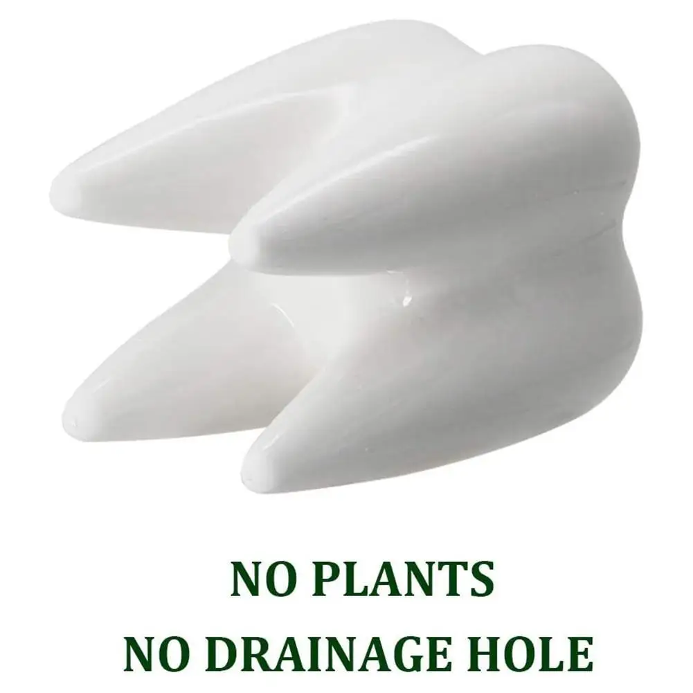 1 шт в форме зуба Настольный Керамика горшок для растений товары дома милый