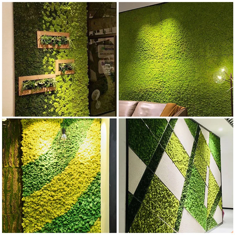 10 г/лот декоративные сухие натуральные свежие Мохи Sphagnum настоящая вечная сухая