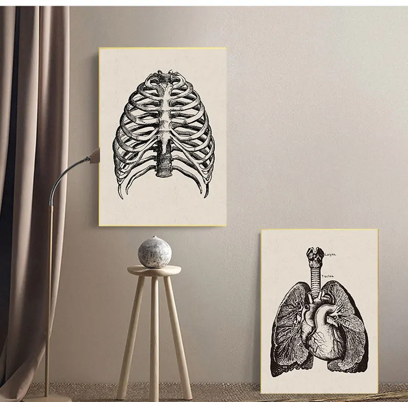 Nordic Canvas Print Education Painting Modern Decor Human Anatomy Artwork Medical Wall Picture Muscle Skeleton Vintage Poster |