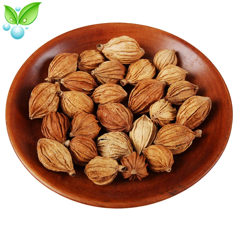 

Amomum Villosum,Bitter Cardamon,Spices Chuan Sha Ren,Grass Fruit,Amomum Villosum,Fruit Of Amomum Villosum,Traditional Spices