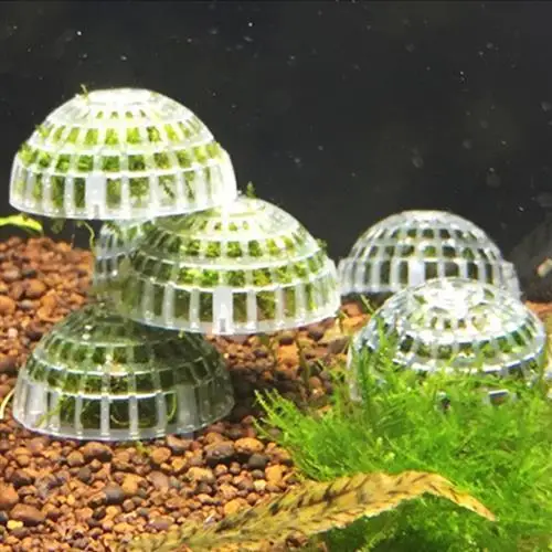 

Suspended Ball Submerged Ball Moss Ball Shrimp Nest Coral Beauty Anchovy aquarium plants decoration fish tank decoration