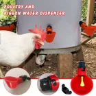 Поилка для птиц Автоматическая, поилка для кур, чаши для полива птицы, красный дозатор, поилка