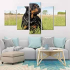 Настенные художественные картины Hd печать 5 шт. Ротвейлер собака животные современные постеры Картина на холсте гостиная домашний Декор Размер рамка
