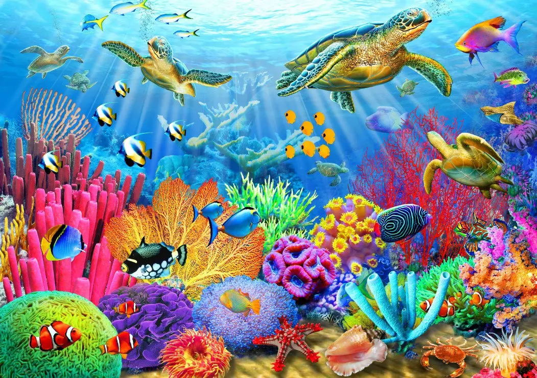 

Jmine Div 5D морская черепаха Коралл подводная полностью Алмазная краска наборы для вышивки крестиком Искусство Животные 3D краска алмазами