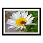 Алмазная картина Алмазная вышивка ваза цветок 5D DIY Алмазная картина полный квадратный Будда 567DD алмазный круглый