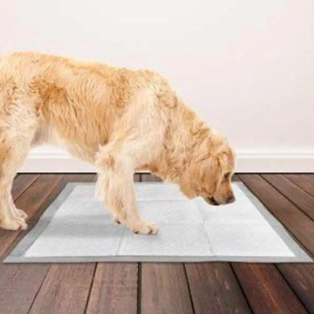 Эффективный спрей для тренировки туалета домашних животных 60 мл собака