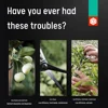 Изображение товара 5