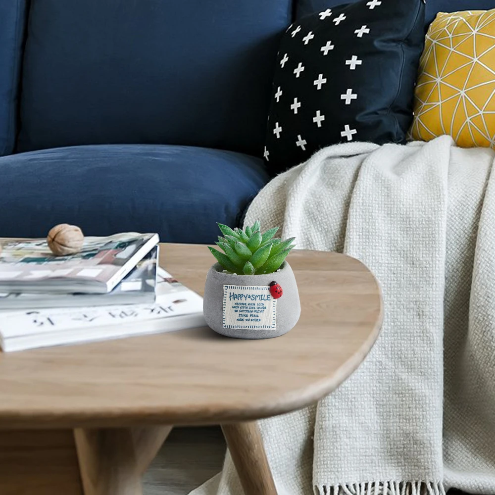 Суккуленты в горшке растения керамика мини бонсай с горшками цемент