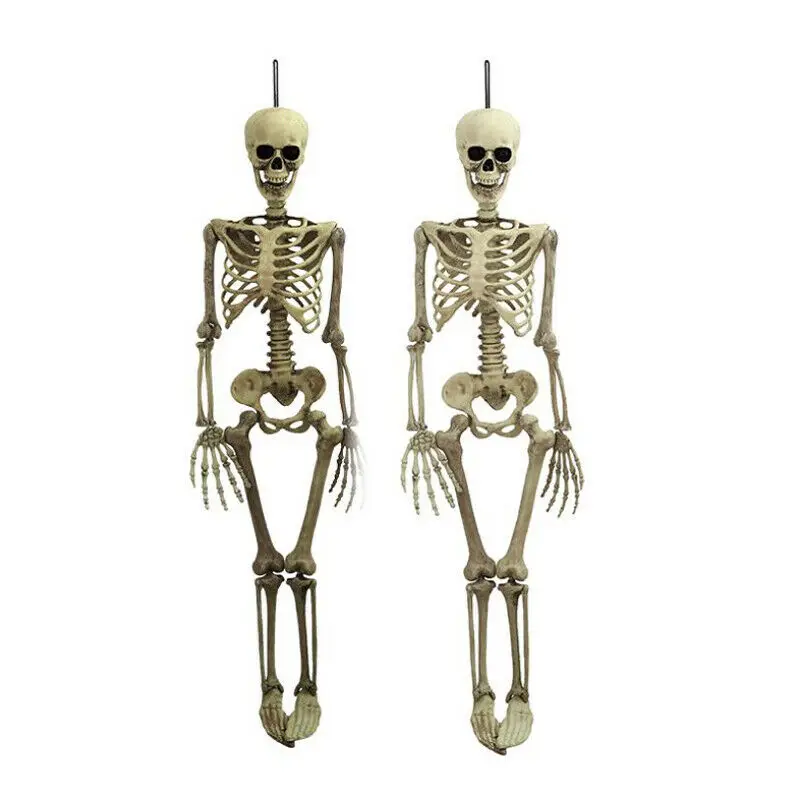 1Pcs Halloween Prop Human Skeleton Full Size Skull Hand Life Body Anatomy Model Decor Miniatures
