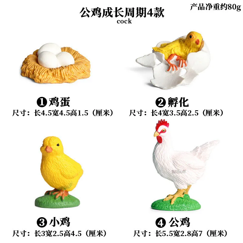 

4Pcs Simulation Animals Growth Cycle Chicken Life Cycle Figures Plastic Models Action Figures Educational Toys for children Gift