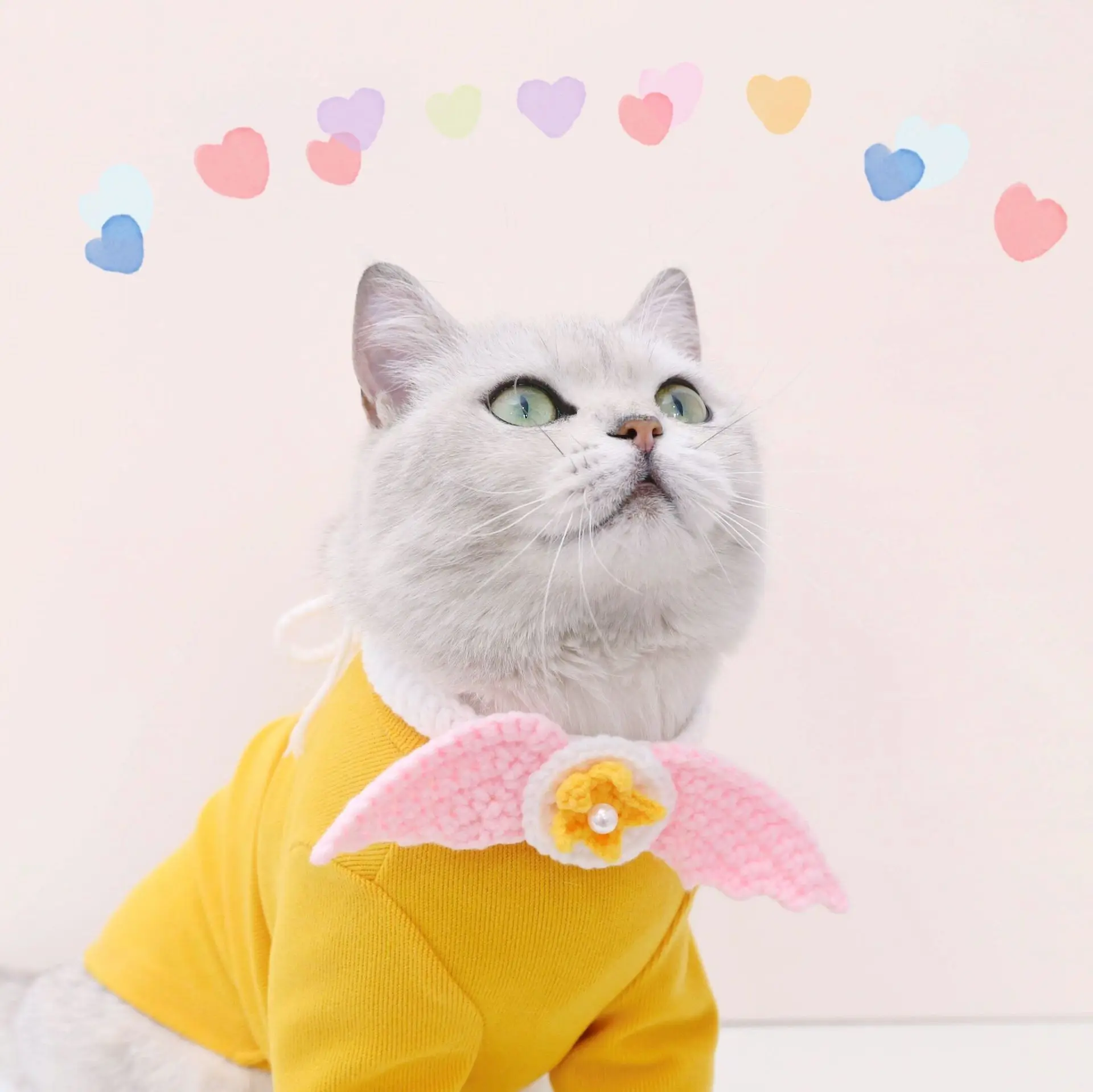 

Cat Collar Knitted Wings Woolen Star Adjustable Bunny Rabbit Dog Necklace Birthday Pet Memorial Christmas Accessories