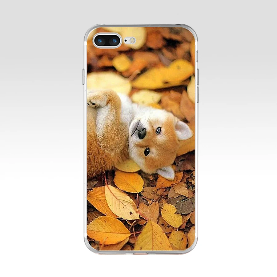 Силиконовый чехол 049FG Brushwood Doge Сиба ину Inu с забавной собакой мягкий ТПУ для Apple