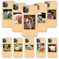 cute little pink pet pig smartphone case carcasa for iphone 13 mini 11 12 pro max xr x xs max 7 8 6 6s plus soft cover coque