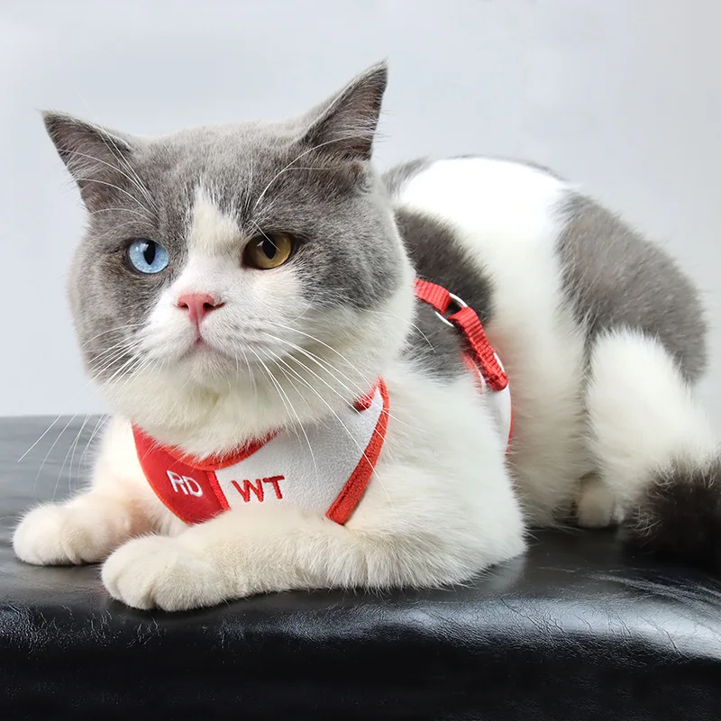 

2021 New Color Matching Pet Chest Harness Breathable Dog Leash Puppy Harness Pet Dog Christmas Gifts