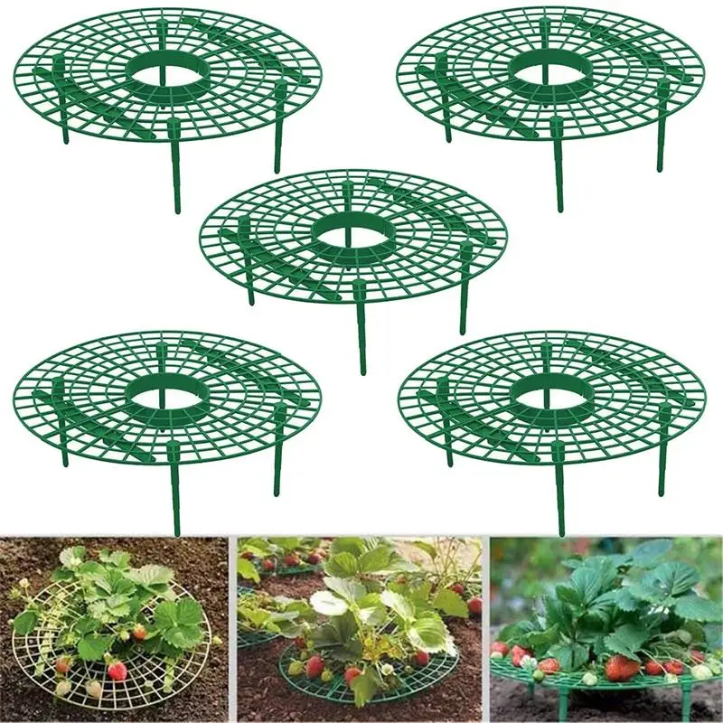 5 шт. клубника стенд держатель рамы посадка на балконе стеллаж для фруктов