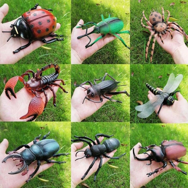 

Simulation Wildlife Model Ornaments Realistic Insect Figure Children Educational Props Scene Decoration Kids Learning Play