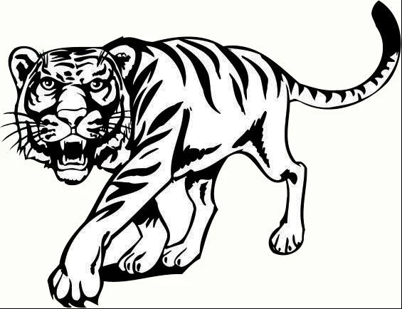 

Tiger car sticker cover scratches personality diesel car accessories external decoration creative fun for PVC of all vehicles