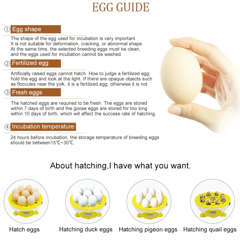 

Protable Digital 7 Egg Mini Incubator Chicken Duck Bird Quail Hatcher Temperature Control Home Incubator X
