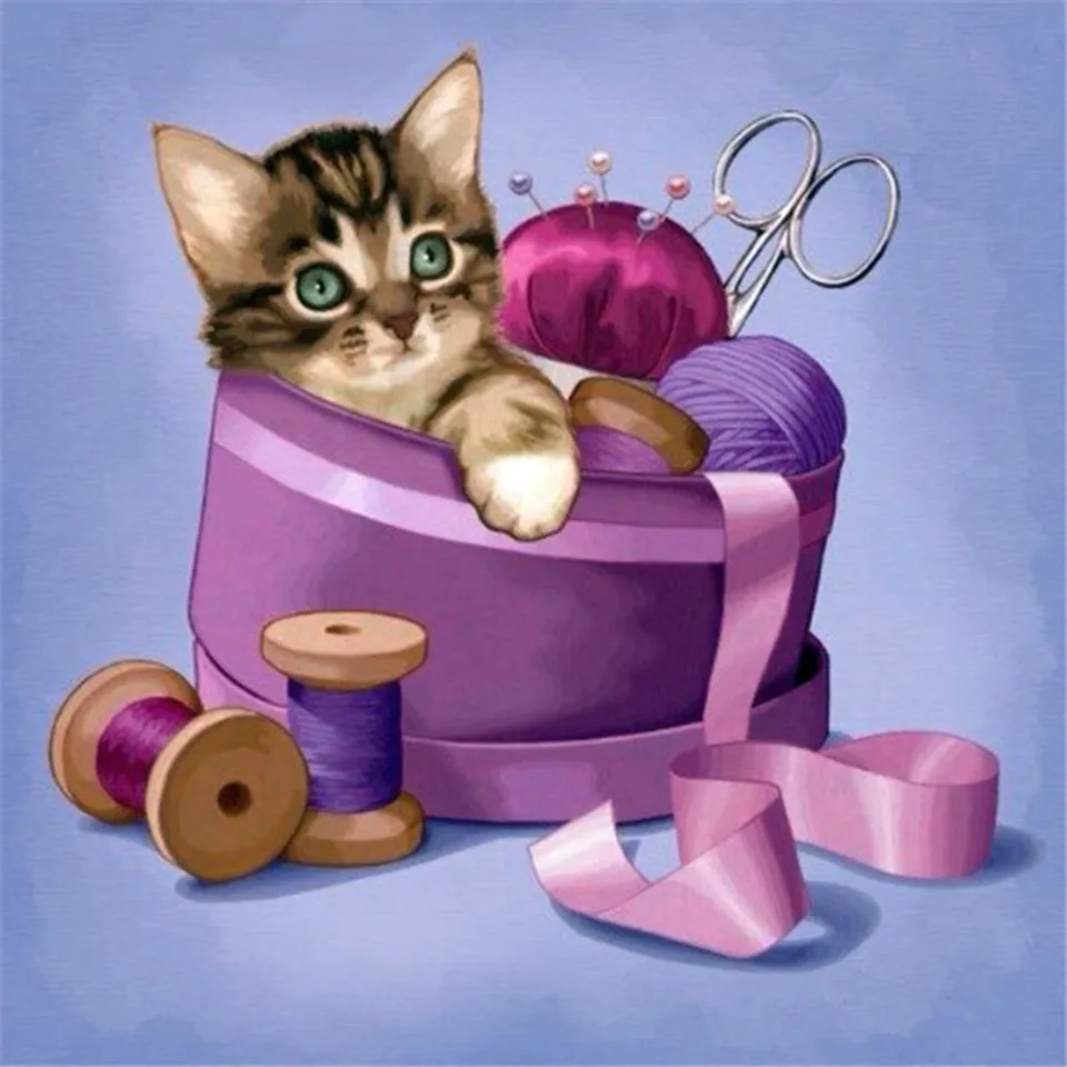 

5ddiy алмазов картина кошка Набор для вышивания крестиком мозаичного искусства картина Стразы Алмазная вышивка украшение