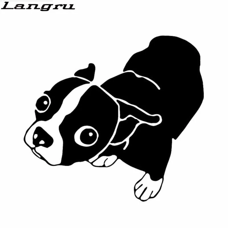 

Langru 14,6x13,5 см смешная собака Молли Бостон терьер виниловые графические Наклейки Стикер автомобильные аксессуары Jdm