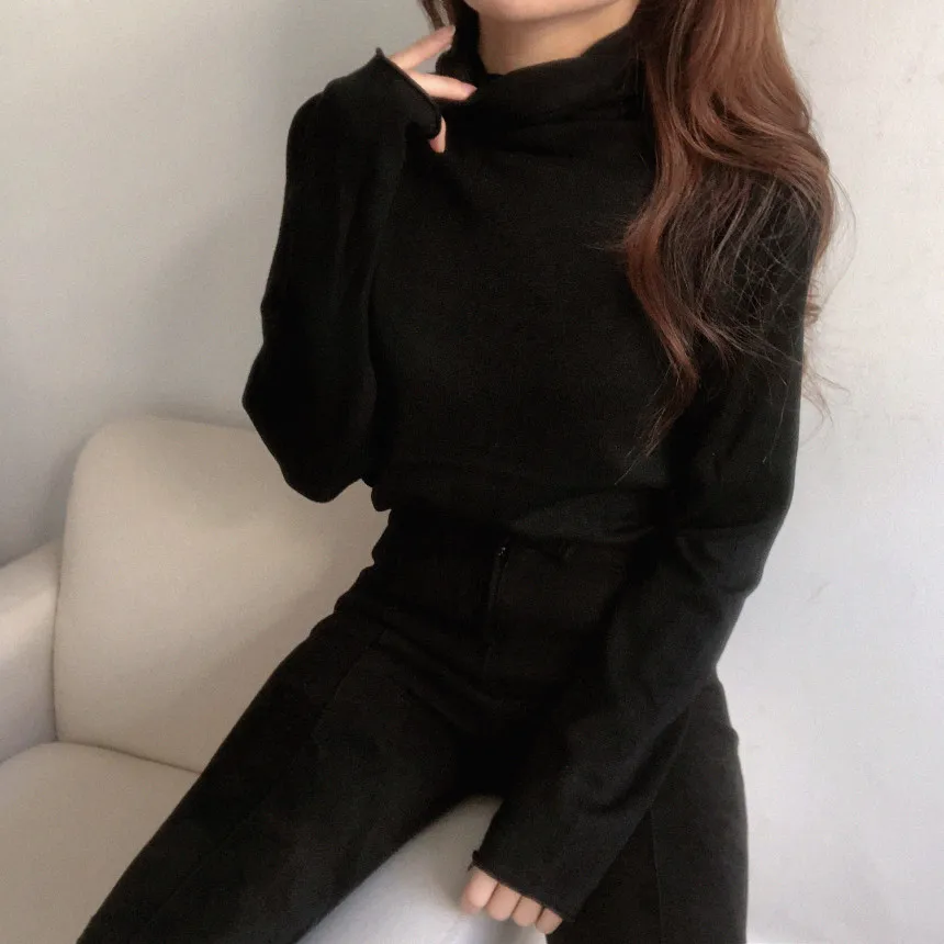 

Turtleneck Knitted Korean Pullover Sweater Women Long Sleeve Solid Slim Basic Tops 2020 Autumn Winter Ladies Fashion Jumpers