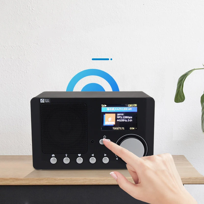 

RISE-Portable Internet Radio with Rechargeable Battery Bluetooth Receiver with 2.4inch Color Display Support UPnP and DLNA