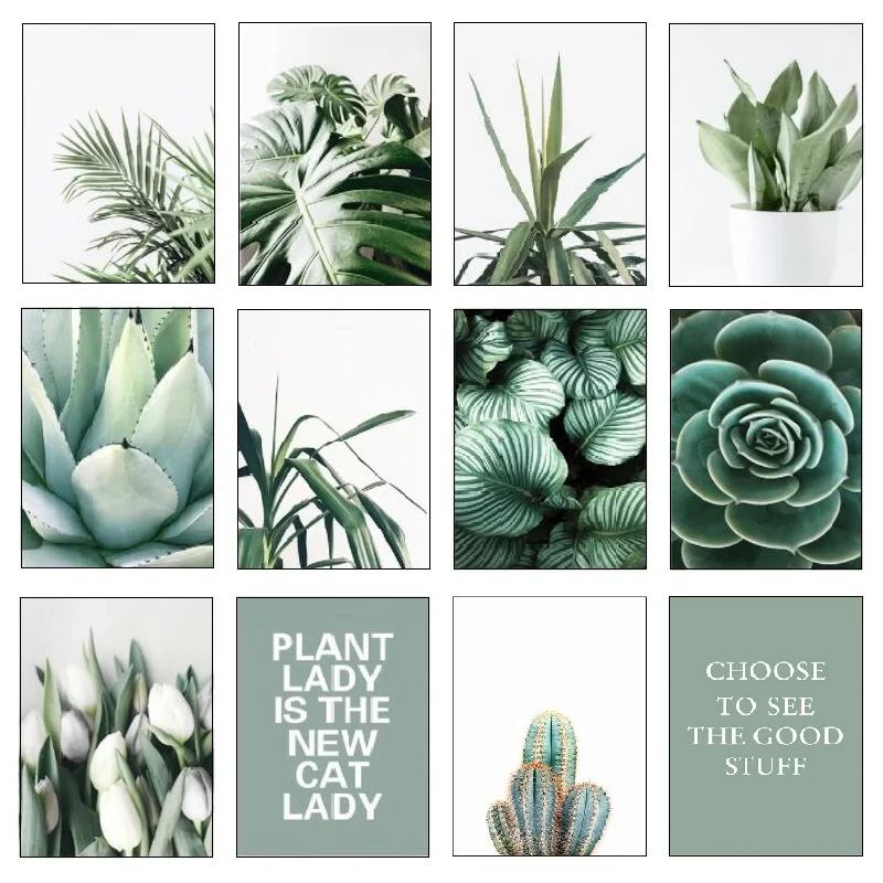

White tulip Green Succulents Aloe Monstera Plant Art Canvas Painting Nordic Poster and print wall pictures for living room decor