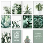 Белый тюльпан, зеленые суккуленты, алоэ монстера, искусство растений, холст, живопись, скандинавский постер и печать, настенные картины для декора гостиной