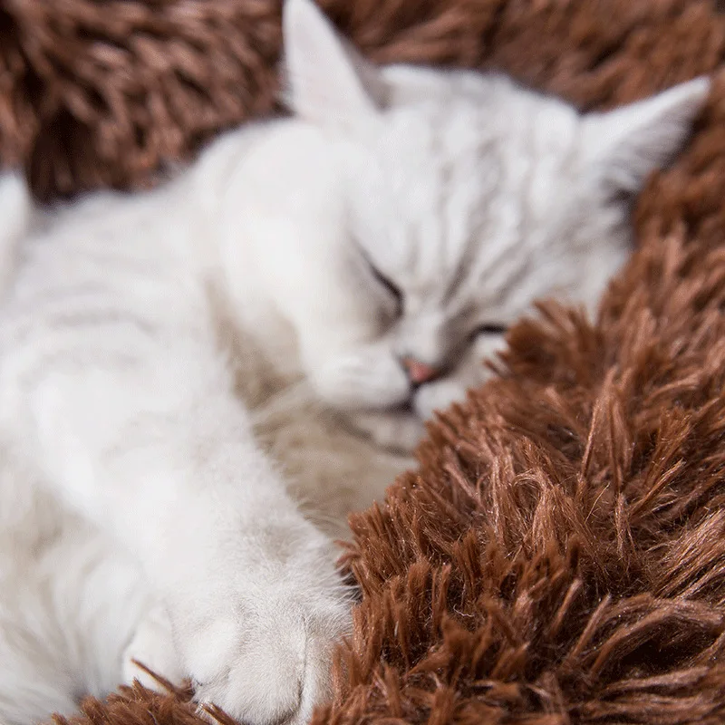 Длинная плюшевая мягкая кровать для питомца подходящая по цвету собачка круглая