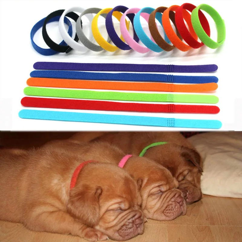 Товары для домашних животных нейлоновая клейкая лента из мягкого материала 12