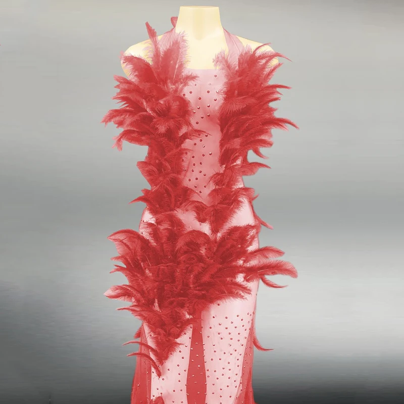 Длинное платье на день рождения Прозрачное стразы с перьями Бандажное певец