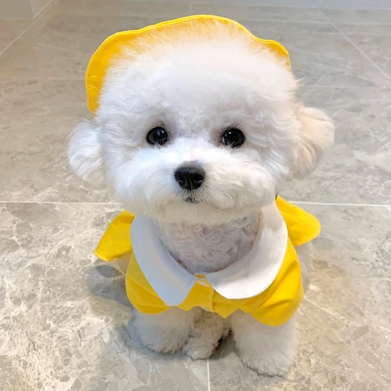 Yellow Dog Skirt Summer Thin Clothes Puppy Couple Outfit Bow Tie Pullover Fashion Pet Dress With Hat XS-XL |