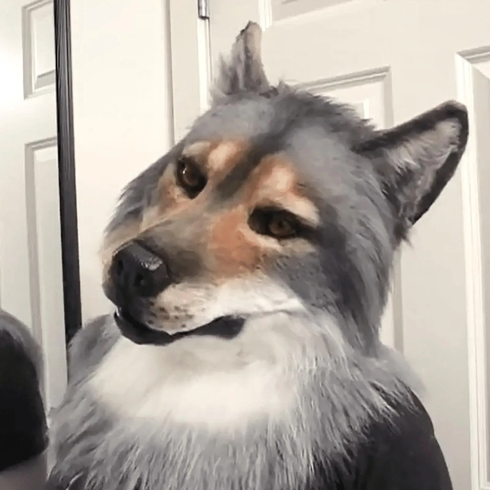 

Halloween Horrible Ghastful Masks Headdress Costume Mask Wolf Headwear Costume Mask Wolf Mask Fast Shipping