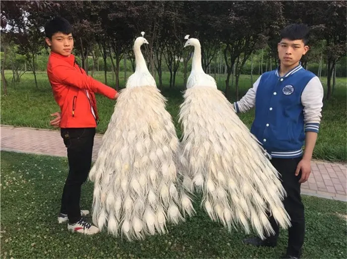 

long 120cm white feathers peacocks artificial bird model foam&feathers bird handicraft,home garden wedding decoration a2522