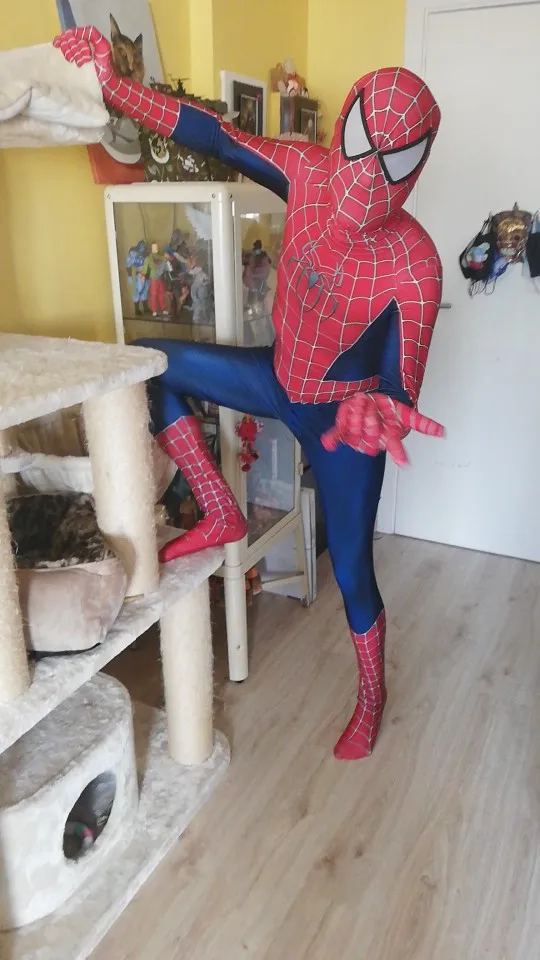 triangle glasses raimi costume spandex 3d print halloween costume cosplay bodysuit superhero zentai suit for adultkids free global shipping