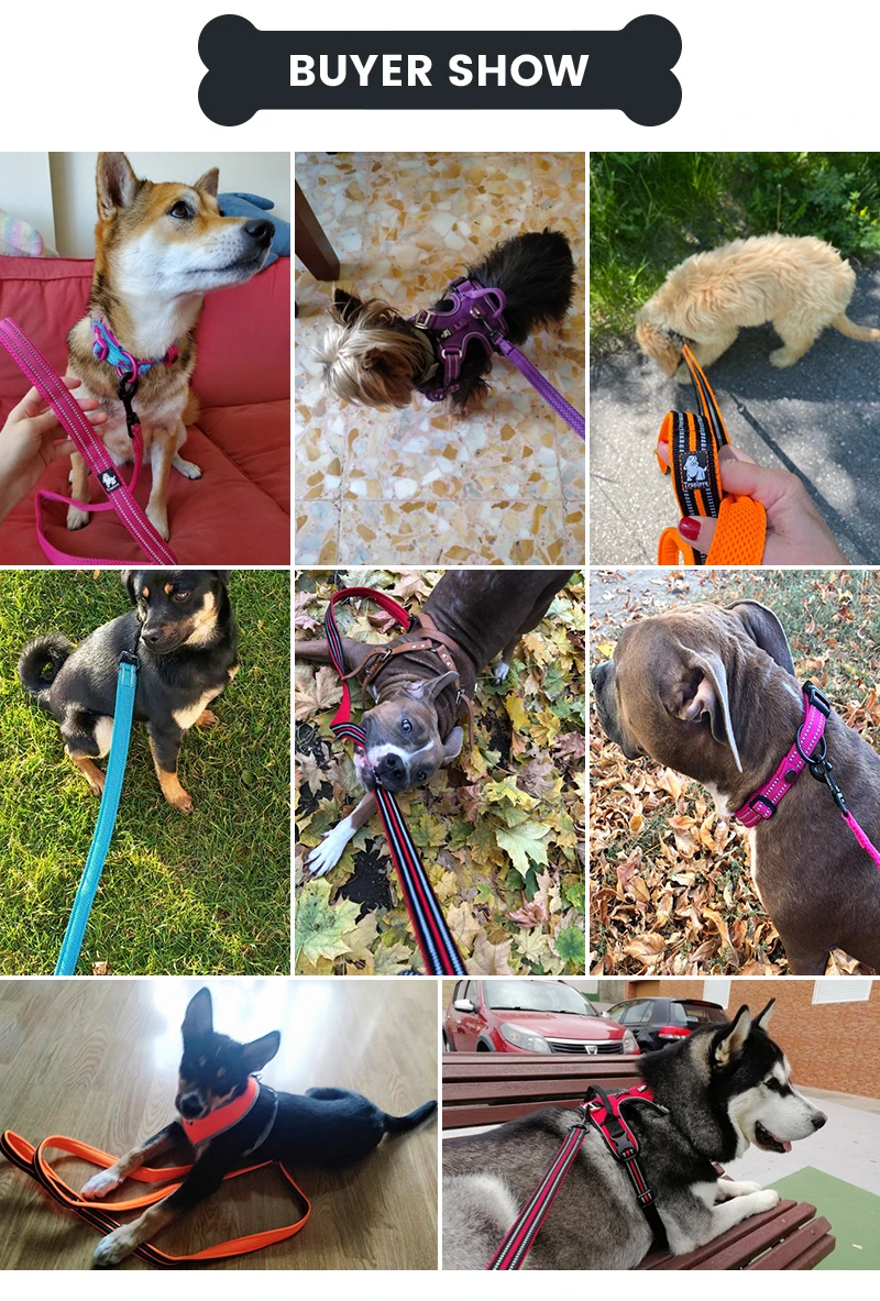 

Truelove 110cm /lot 11 Colors Soft Dog Pet Leashes in Harness & Collar Reflective Nylon Mesh For Dog Walking Training
