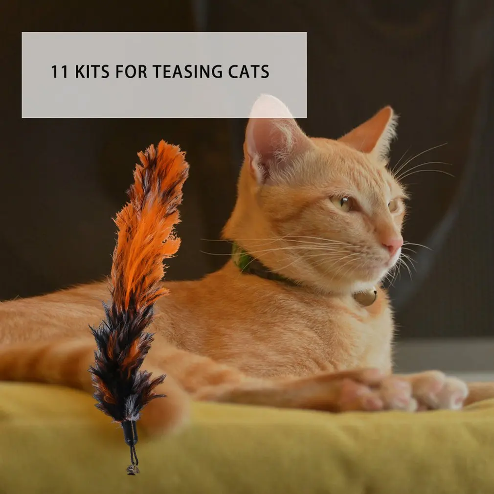 

11 PCS Replacement Cat Feather Toy Set, Cat Feather Teaser Wand Toy for Kitten Cat Having Fun Exercise Playing Without the Stick