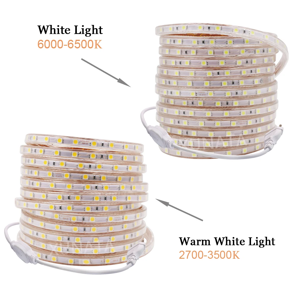5050 LED Strip Light 220V Waterproof 60LED/m Flexible Ribbon Lights 1m 2m 3m 5m 10m 20m 50m 100m Home Decoration String Lamp | Освещение